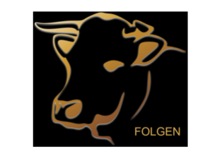 Folgen
