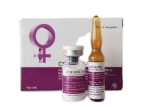 Post Ciclos y Protectores
